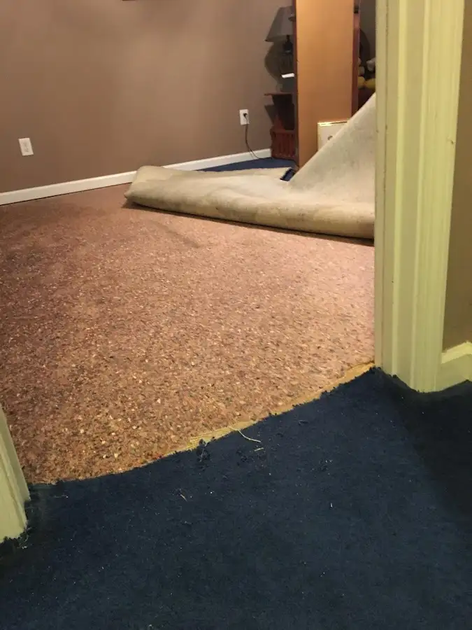 Carpet pad removal revealing water damage during Drying & Dehumidification in Madras