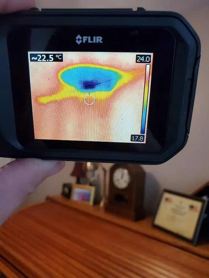 Thermal imaging inspection for water damage in Madras